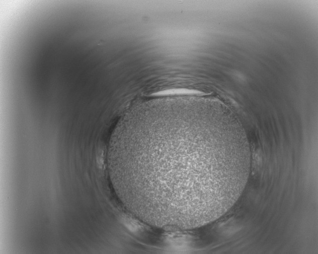 X0000068260331200605051755