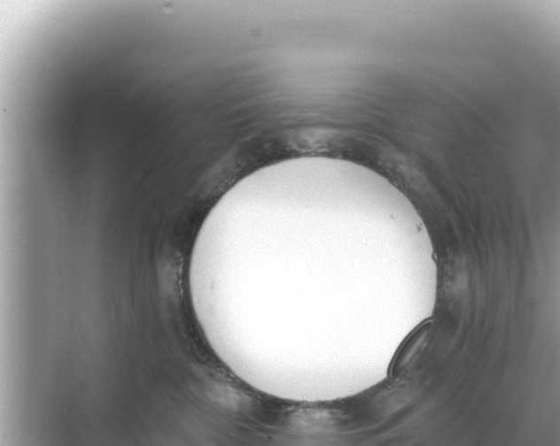 X0000068260332200605051755