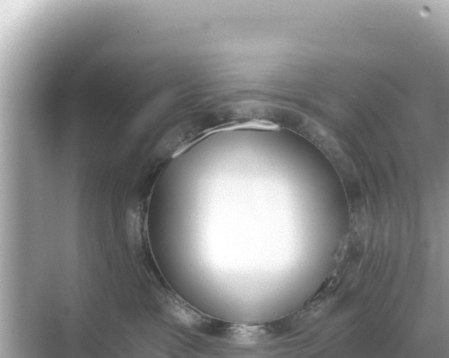 X0000068260333200605051755