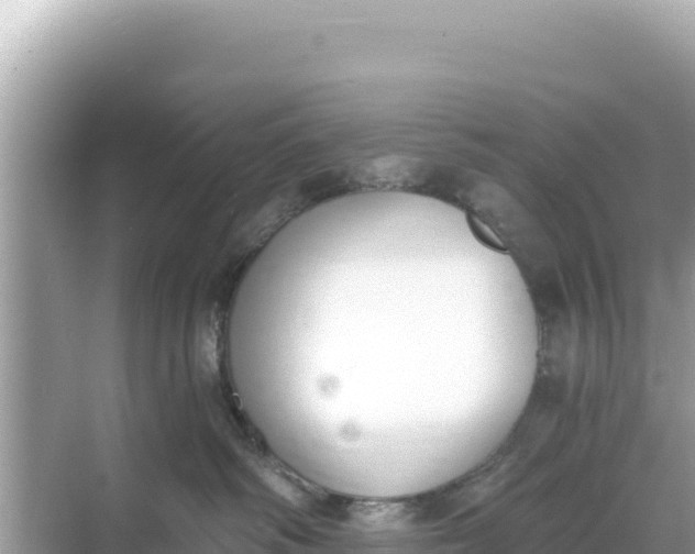 X0000068260334200605051755