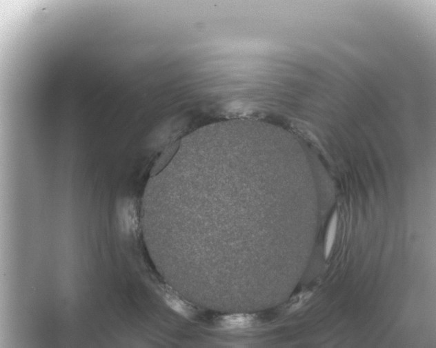 X0000068260335200605051755