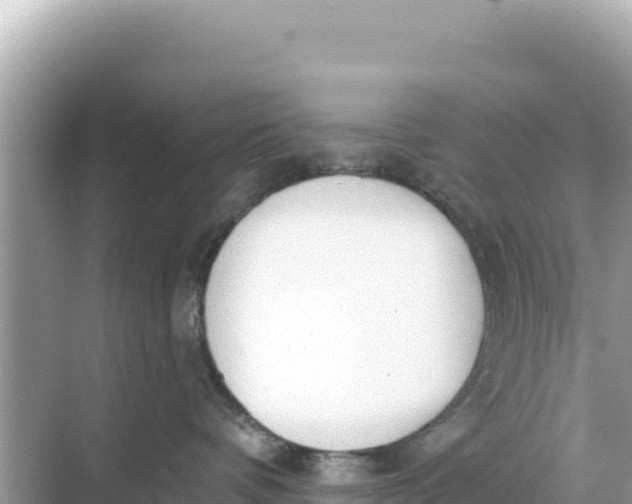 X0000068260336200605051755