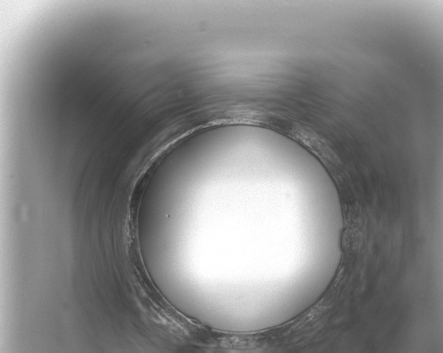 X0000068260338200605051755