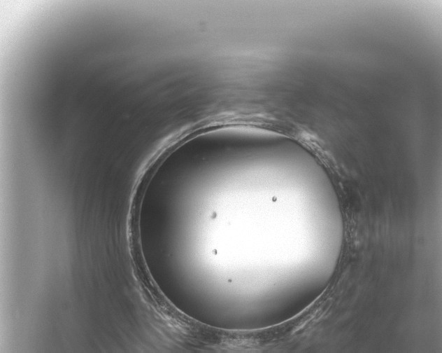 X0000068260340200605051755