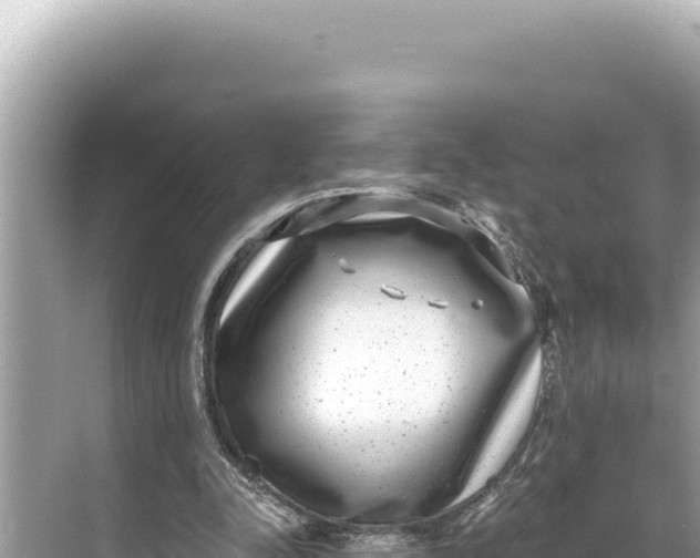 X0000068260342200605051755