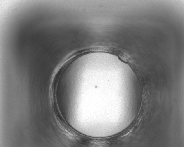 X0000068260343200605051755