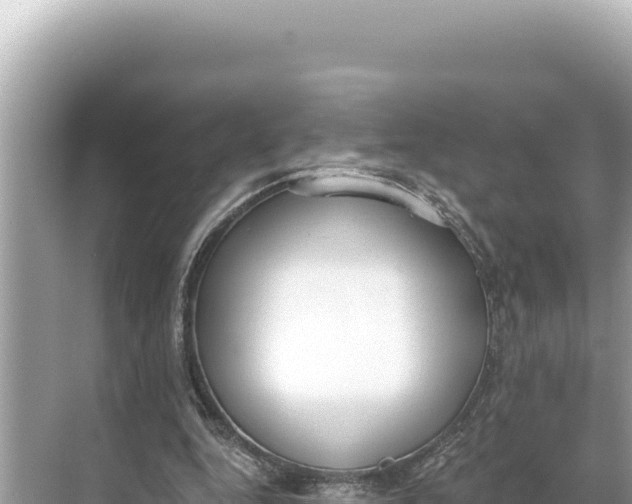 X0000068260344200605051755