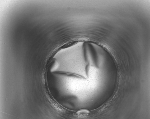 X0000068260345200605051755