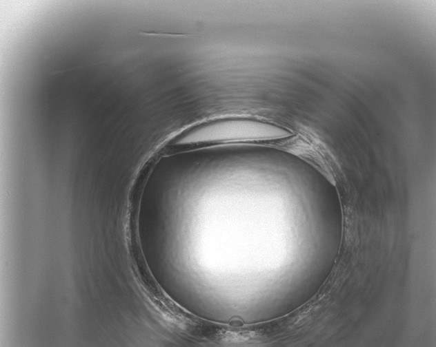 X0000068260346200605051755