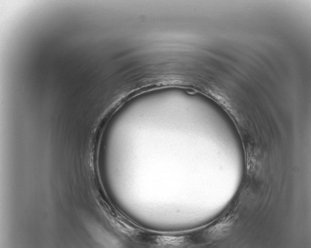 X0000068260347200605051755