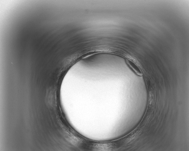 X0000068260349200605051755