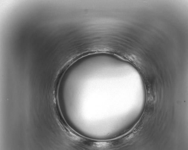 X0000068260351200605051755