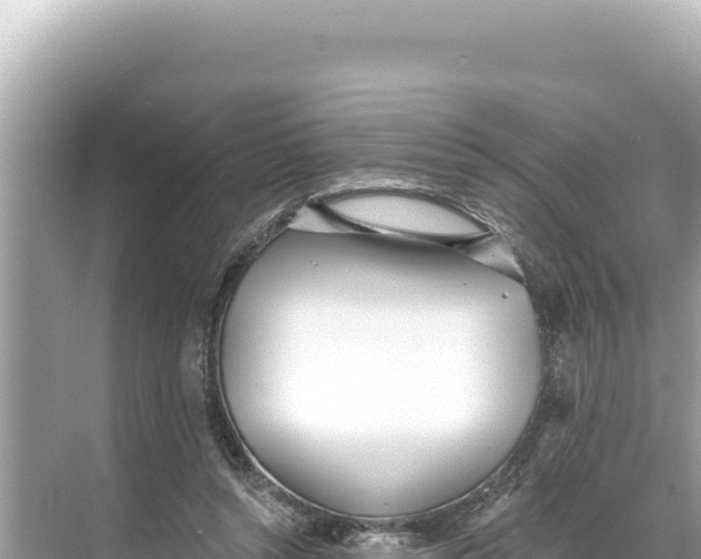 X0000068260352200605051755