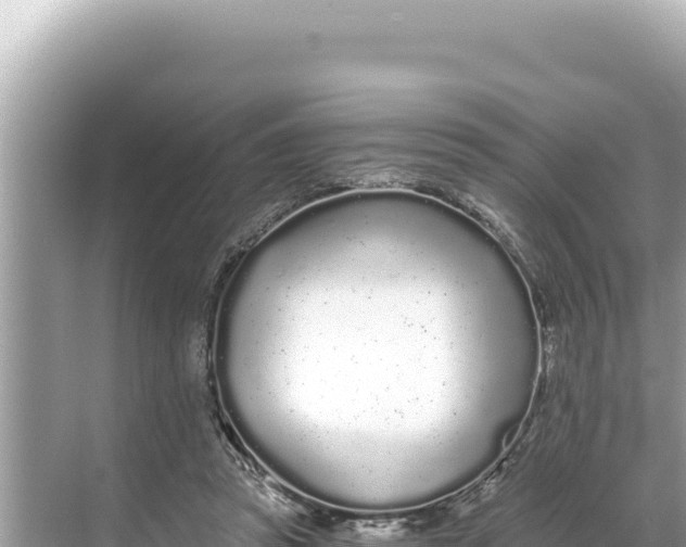 X0000068260353200605051755