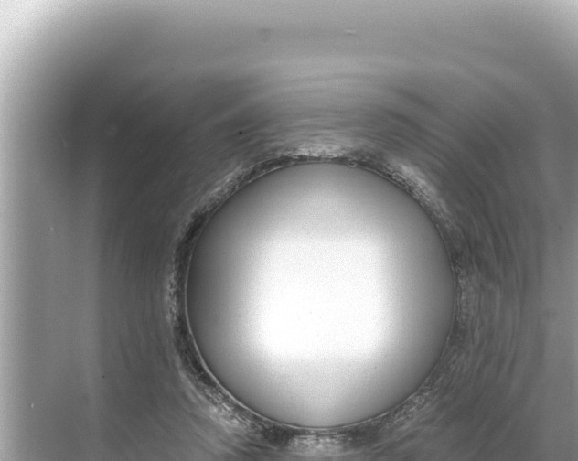 X0000068260354200605051755