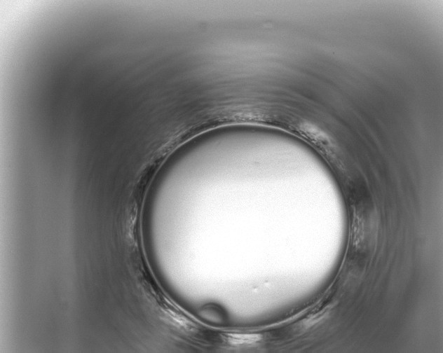 X0000068260355200605051755