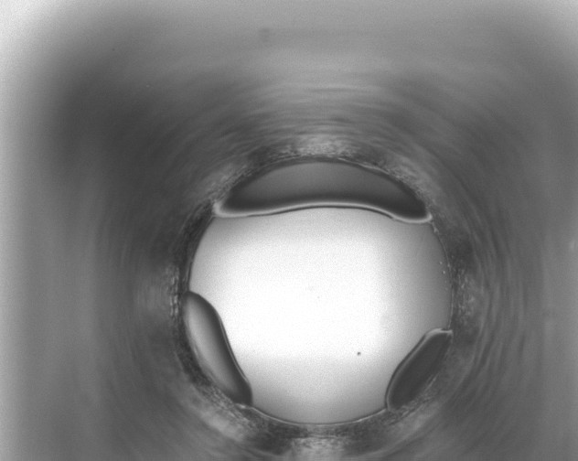 X0000068260356200605051755