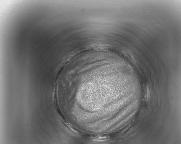 X0000068260357200605051755