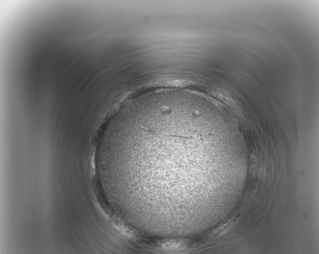 X0000068260358200605051755