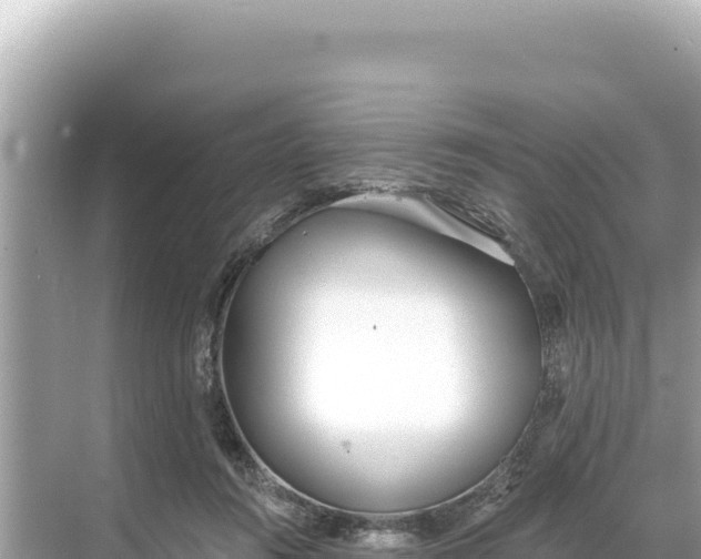 X0000068260360200605051755