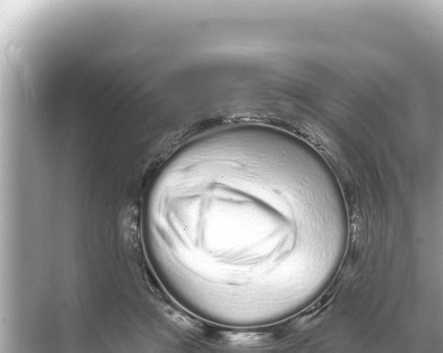 X0000068260361200605051755