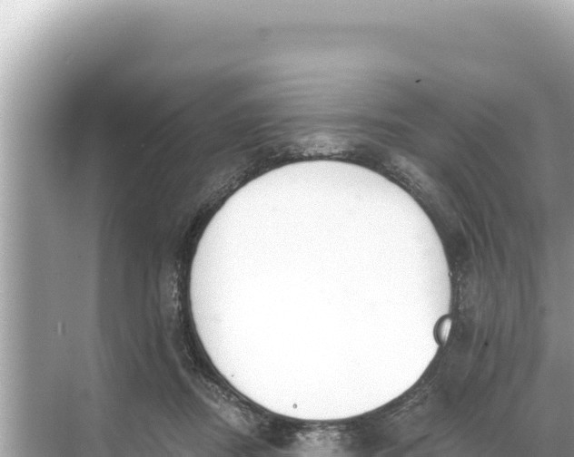 X0000068260362200605051755