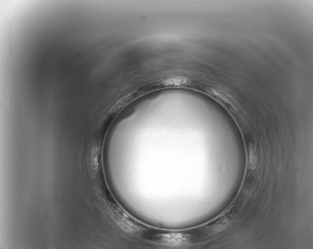 X0000068260363200605051755