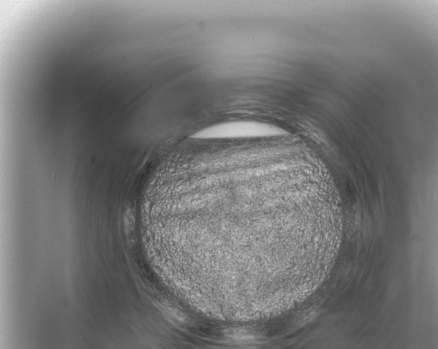 X0000068260365200605051755