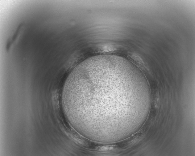 X0000068260366200605051755