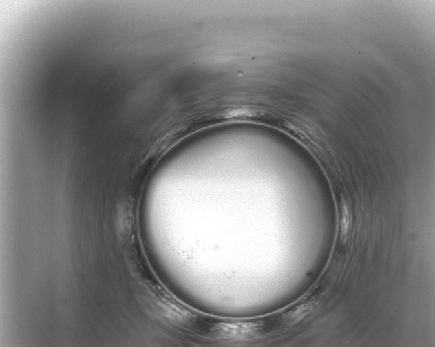 X0000068260367200605051755