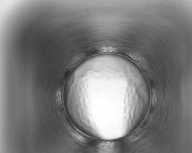 X0000068260369200605051755