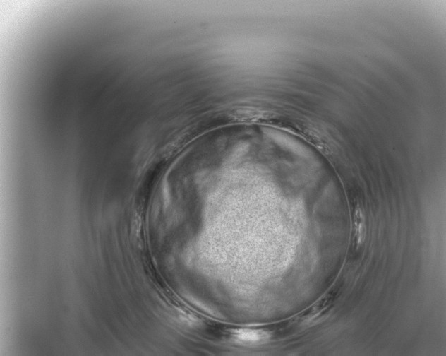 X0000068260371200605051755