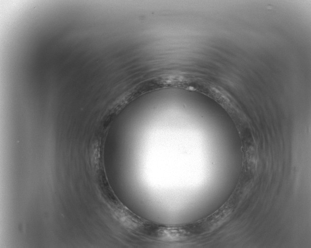 X0000068260372200605051755