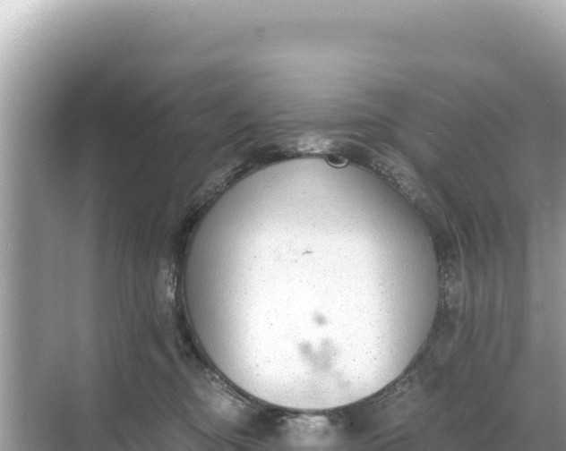 X0000068260374200605051755