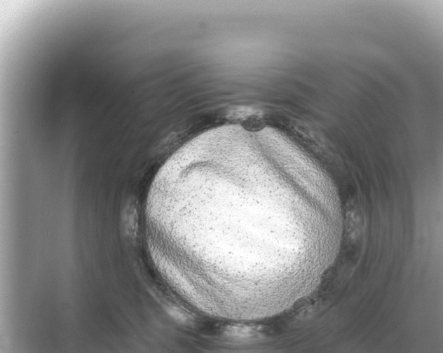 X0000068260375200605051755