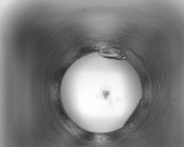 X0000068260376200605051755