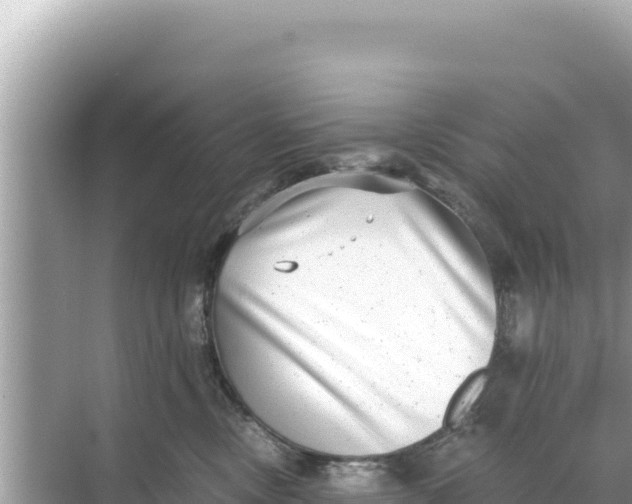 X0000068260378200605051755