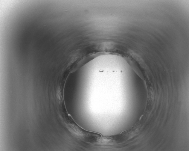 X0000068260380200605051755