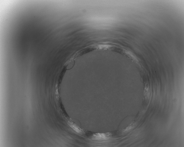 X0000068260381200605051755