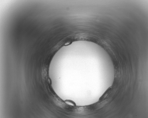 X0000068260382200605051755