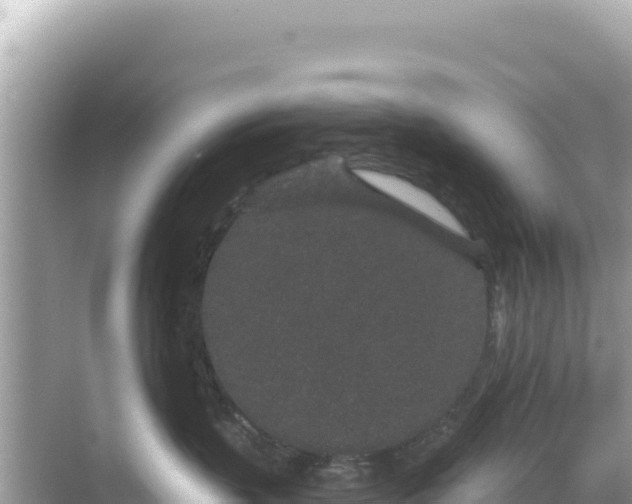 X0000068260383200605051755