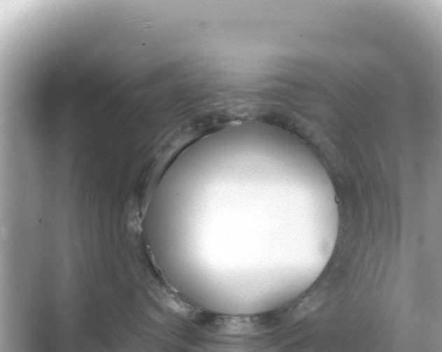 X0000068260384200605051755