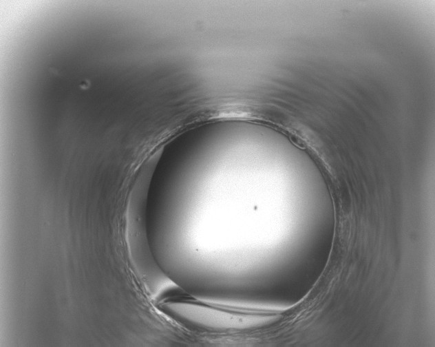 X0000068260385200605051755