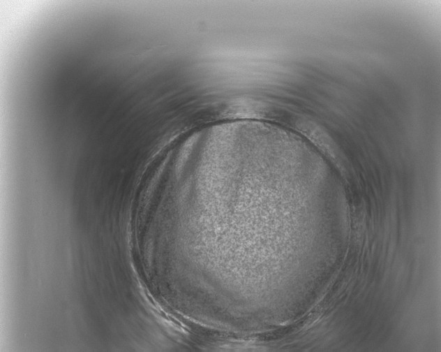 X0000068260386200605051754