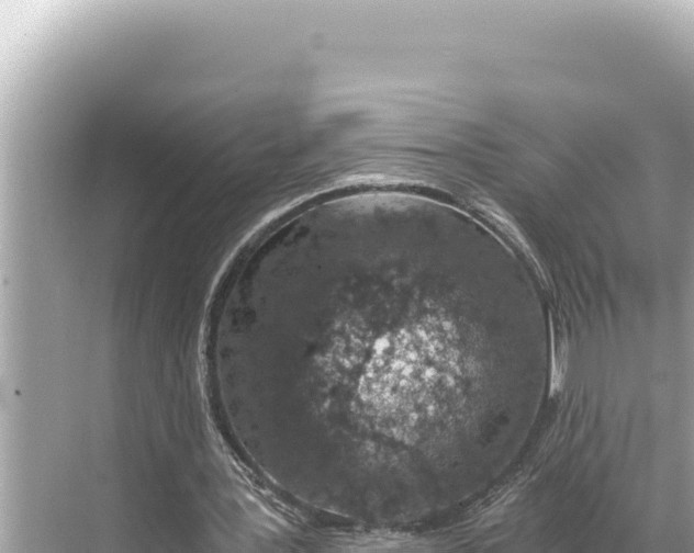 X0000068260387200605051754