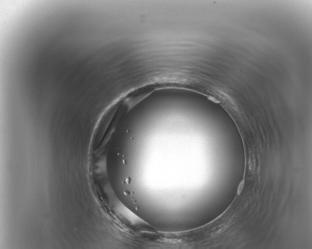 X0000068260388200605051754