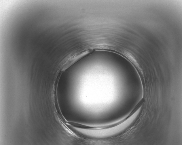 X0000068260389200605051754