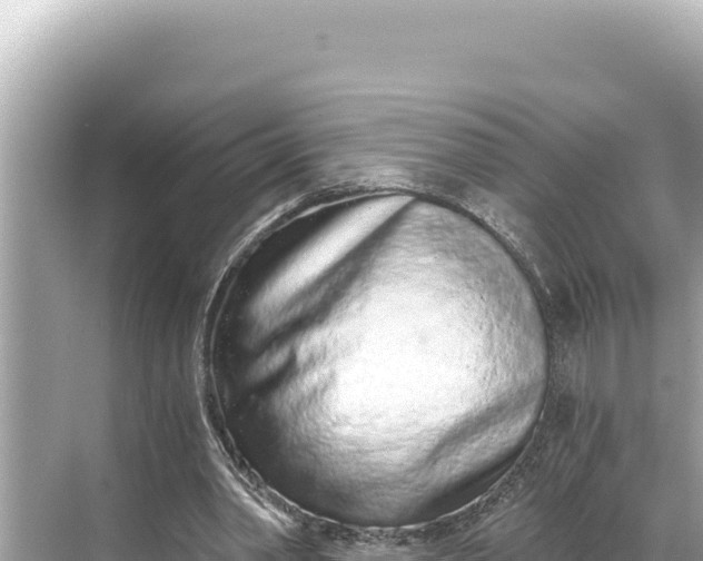 X0000068260390200605051754