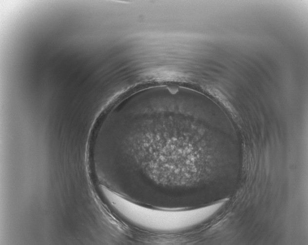 X0000068260391200605051754