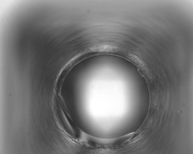 X0000068260392200605051754